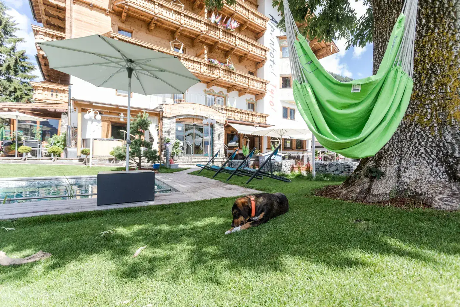 Hund entspannt im Garten des Alpenhotel Tyrol