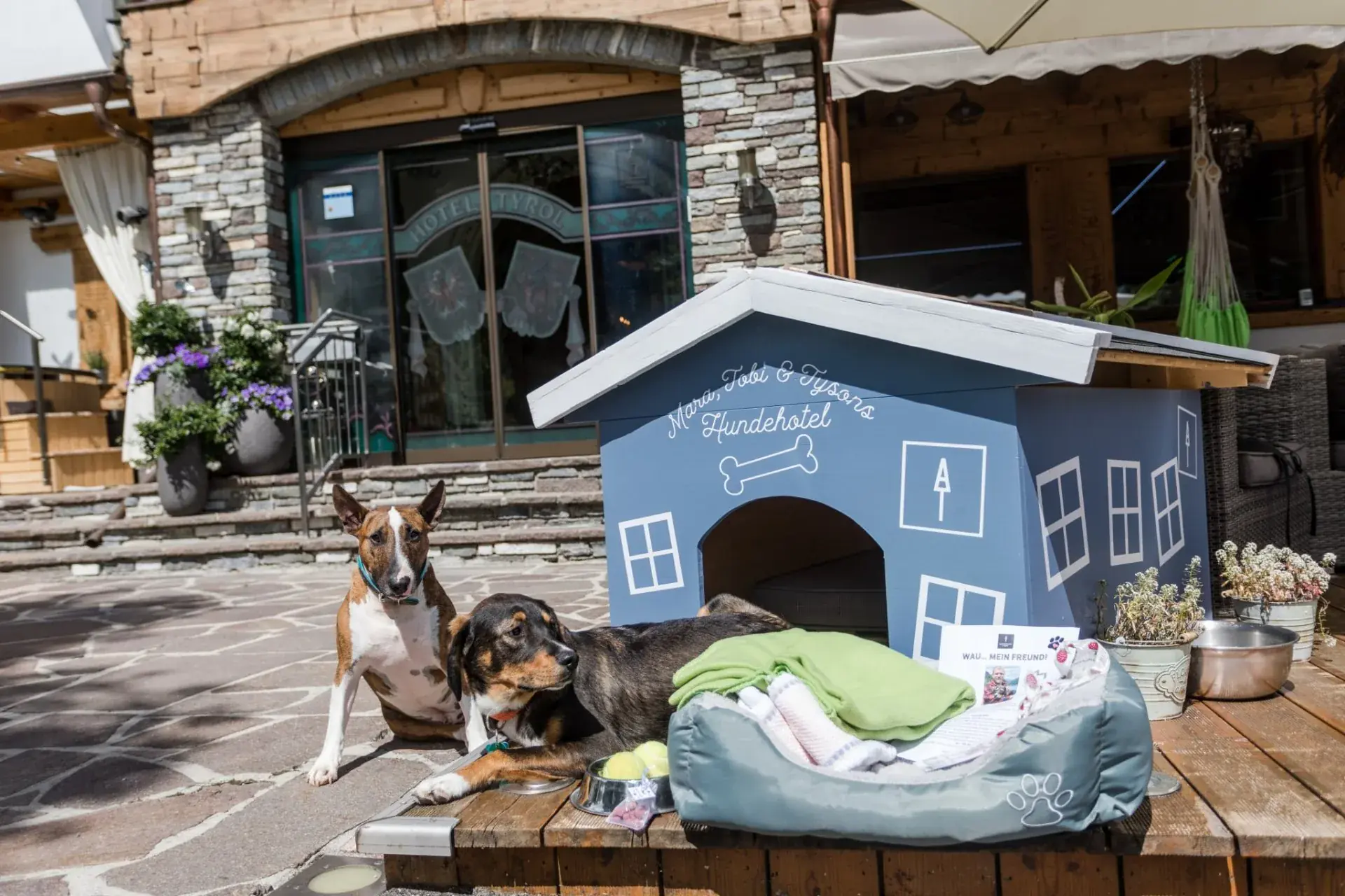 Zwei Hunde mit Begrüßungspaket am Hundehäuschen